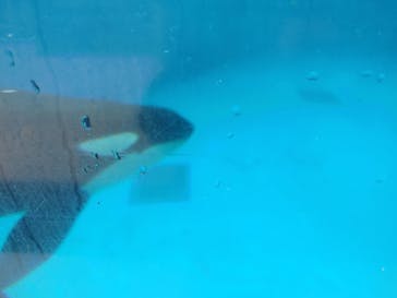 鴨川シーワールドに投稿された画像（2024/10/15）