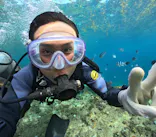 武藤潜水に投稿された画像（2024/10/15）