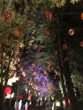 ムーミンバレーパークに投稿された画像（2024/10/15）