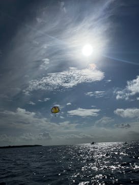 parasailing NOA（パラセーリング  ノア）に投稿された画像（2024/10/15）