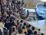 アクアワールド茨城県大洗水族館に投稿された画像（2024/10/15）