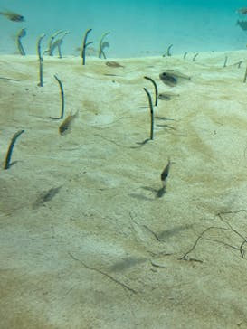 アクアワールド茨城県大洗水族館に投稿された画像（2024/10/15）