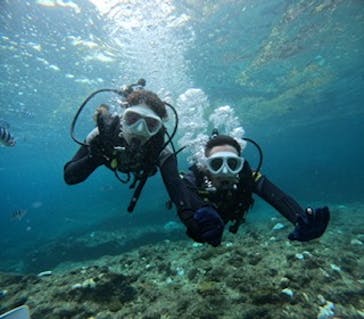 沖縄マリンサービス碧に投稿された画像（2024/10/15）