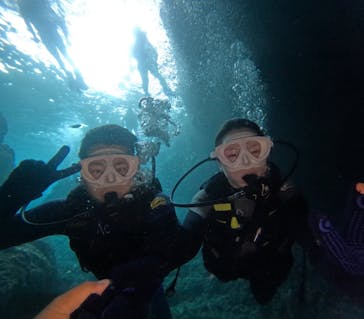 沖縄マリンサービス碧に投稿された画像（2024/10/15）