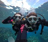 沖縄マリンサービス碧に投稿された画像（2024/10/15）