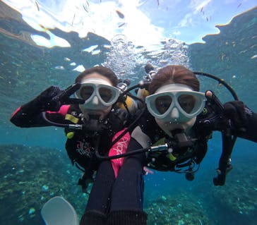 沖縄マリンサービス碧に投稿された画像（2024/10/15）