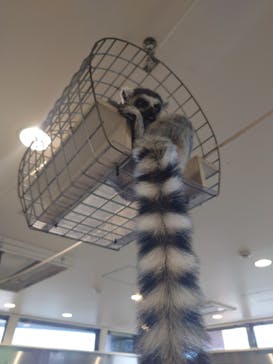 アニタッチみなとみらいに投稿された画像（2024/10/15）