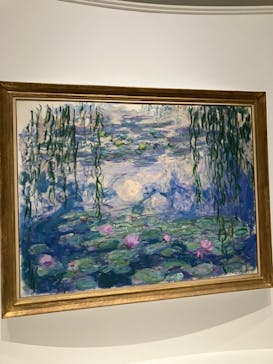 モネ 睡蓮のとき（国立西洋美術館）に投稿された画像（2024/10/15）