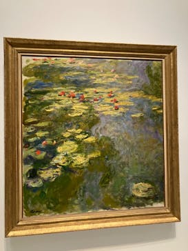 モネ 睡蓮のとき（国立西洋美術館）に投稿された画像（2024/10/15）