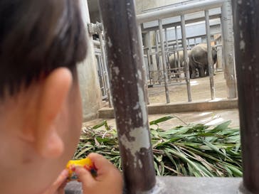 名古屋市東山動植物園に投稿された画像（2024/10/15）