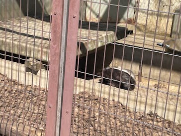 名古屋市東山動植物園に投稿された画像（2024/10/15）