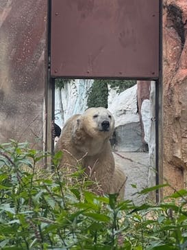 恩賜上野動物園に投稿された画像（2024/10/15）