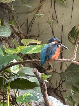 恩賜上野動物園に投稿された画像（2024/10/15）