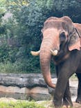 よこはま動物園ズーラシアに投稿された画像（2024/10/15）