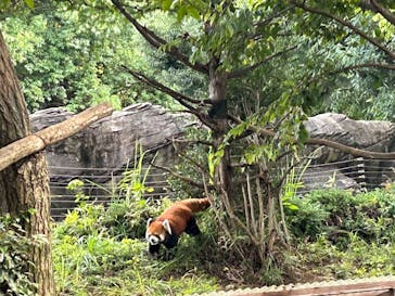 よこはま動物園ズーラシアに投稿された画像（2024/10/15）