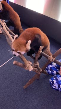 横浜・八景島シーパラダイスに投稿された画像（2024/10/15）