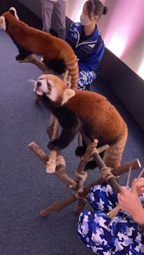 横浜・八景島シーパラダイスに投稿された画像（2024/10/15）