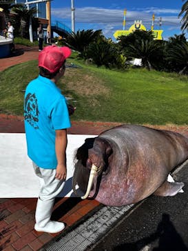 南知多ビーチランド＆南知多おもちゃ王国に投稿された画像（2024/10/15）