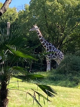 天王寺動物園に投稿された画像（2024/10/15）