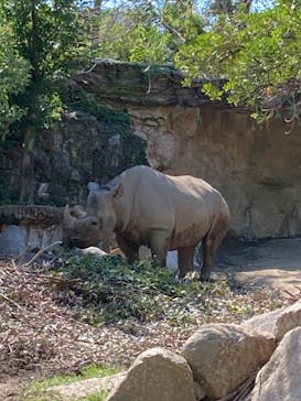 天王寺動物園に投稿された画像（2024/10/15）
