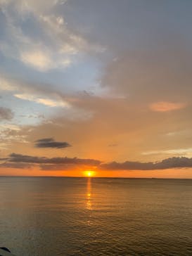 セルリアンブルーに投稿された画像（2024/10/15）