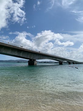 セルリアンブルーに投稿された画像（2024/10/15）