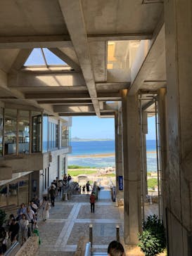 セルリアンブルーに投稿された画像（2024/10/15）