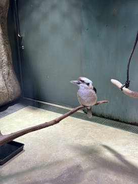 カワスイ 川崎⽔族館に投稿された画像（2024/10/15）