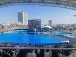 名古屋港水族館に投稿された画像（2024/10/15）