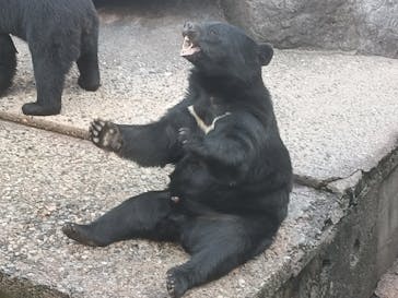 奥飛騨クマ牧場に投稿された画像（2024/10/15）