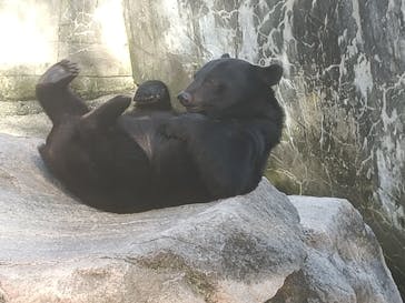 奥飛騨クマ牧場に投稿された画像（2024/10/15）