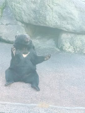 奥飛騨クマ牧場に投稿された画像（2024/10/15）