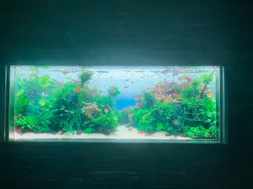 すみだ水族館に投稿された画像（2024/10/15）