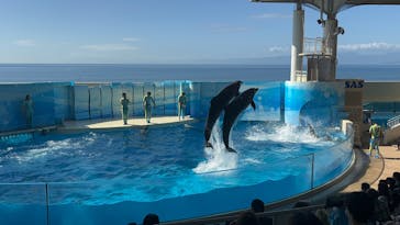 新江ノ島水族館に投稿された画像（2024/10/15）