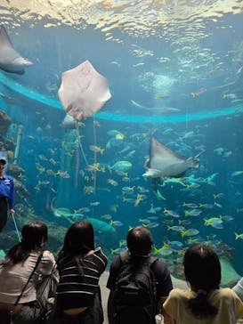 鴨川シーワールドに投稿された画像（2024/10/15）