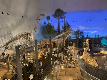 福井県立恐竜博物館に投稿された画像（2024/10/15）