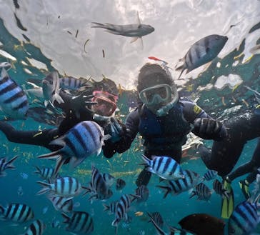 武藤潜水に投稿された画像（2024/10/15）