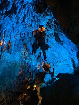 CAVE OKINAWAに投稿された画像（2024/10/15）