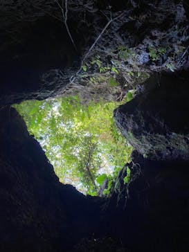 CAVE OKINAWAに投稿された画像（2024/10/15）