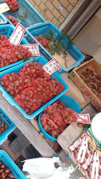 大江戸温泉物語 箕面温泉スパーガーデンに投稿された画像（2024/10/15）