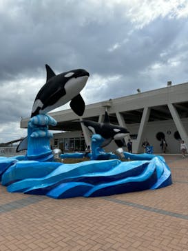 鴨川シーワールドに投稿された画像（2024/10/15）