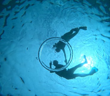 宮古島 ADVENTURE PiPi（ミヤコジマ アドベンチャー ピピ）に投稿された画像（2024/10/15）