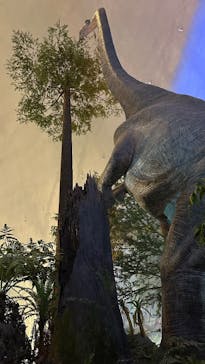 福井県立恐竜博物館に投稿された画像（2024/10/15）