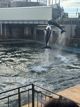 越前松島水族館に投稿された画像（2024/10/15）