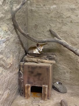 長崎バイオパークに投稿された画像（2024/10/15）