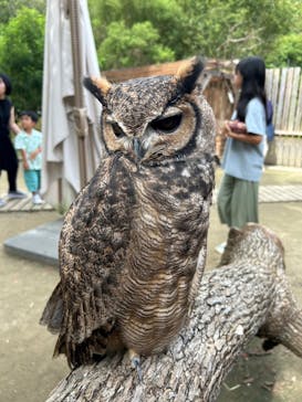 長崎バイオパークに投稿された画像（2024/10/15）