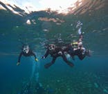 青の洞窟専門店　沖縄ダイビングショップ和に投稿された画像（2024/10/15）