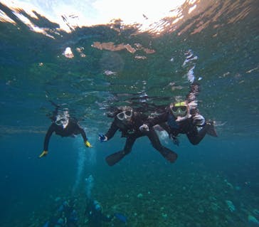 青の洞窟専門店　沖縄ダイビングショップ和に投稿された画像（2024/10/15）