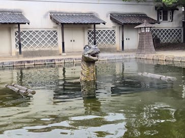 京都鉄道博物館×東映太秦映画村に投稿された画像（2024/10/15）