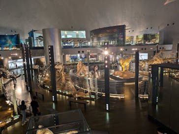 福井県立恐竜博物館に投稿された画像（2024/10/15）